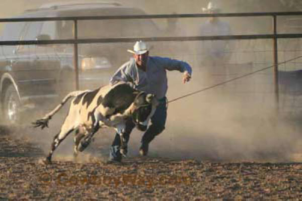 Hunn Leather Ranch Rodeo Photos - Best Of