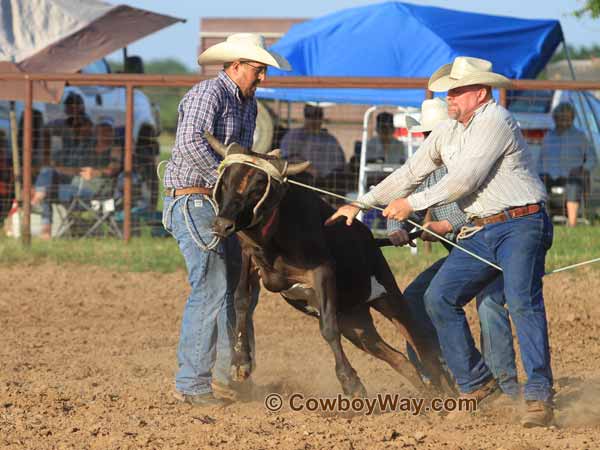 Hunn Leather Ranch Rodeo Photos - Best Of