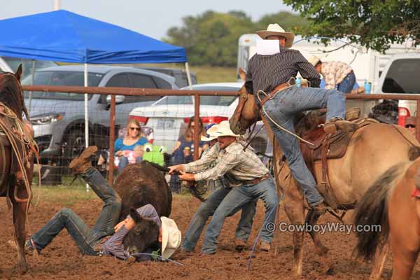 Hunn Leather Ranch Rodeo Photos - Best Of