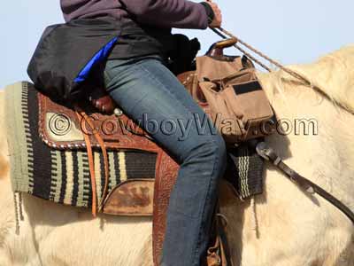 Insulated saddle bags on a horse