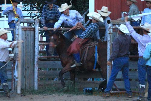 Junior Ranch Bronc Riding, 06-30-12 - Photo 19