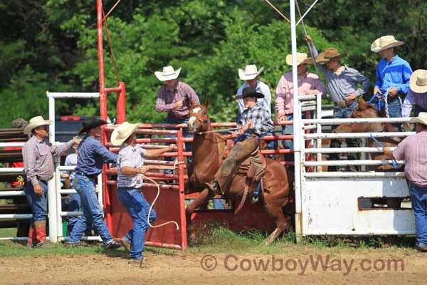 Junior Ranch Bronc Riding, 05-05-12 - Photo 01