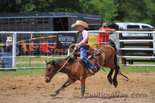 Junior Ranch Bronc Riding, 05-05-12 - Photo 13