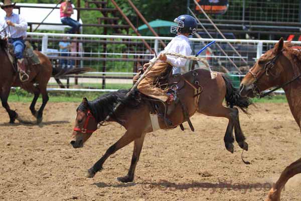 Junior Ranch Bronc Riding, 05-05-12 - Photo 15