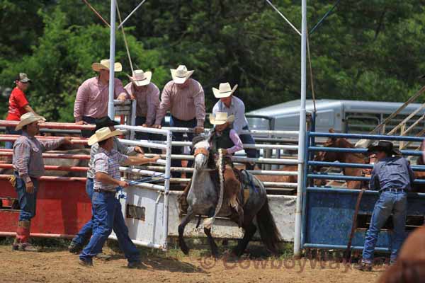 Junior Ranch Bronc Riding, 05-05-12 - Photo 16