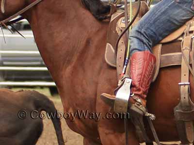 Ladies spurs on a woman roper