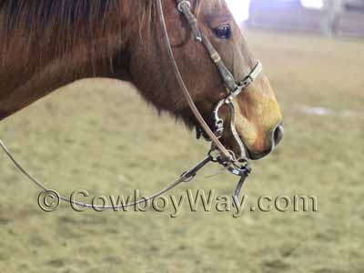 A mechanical hackamore