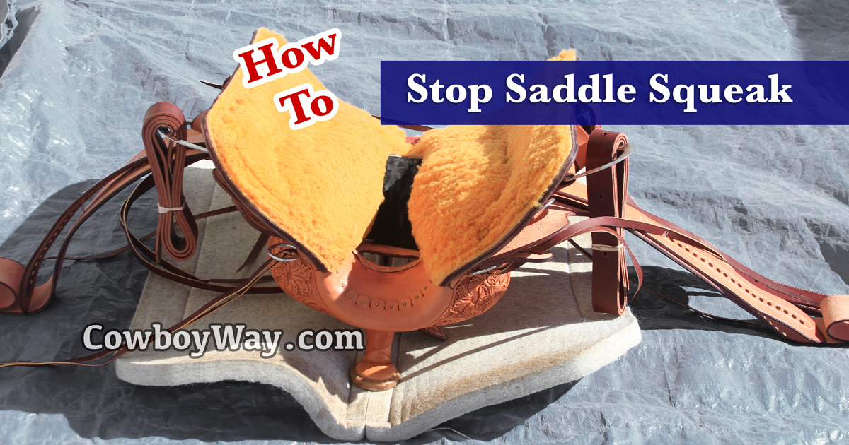 Stop Annoying Saddle Squeak