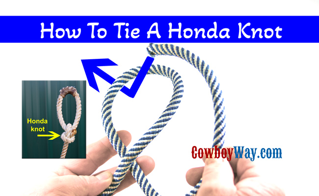 lasso knot how to tie