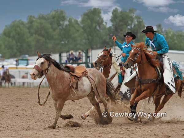 A Paint bronc and pickup horse