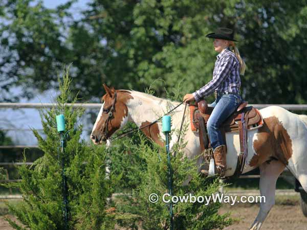 A Paint horse negotiating a tree-lined obstacle