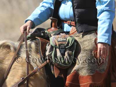A trail rider with pommel saddle bags