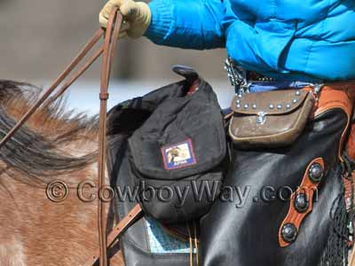 Black pommel saddle bags with light padding