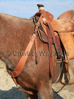 A pulling breast collar on a roan horse