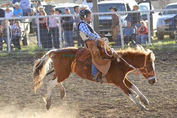 Ranch Pony Bronc Riding, April 10, 2010 - Photo 07