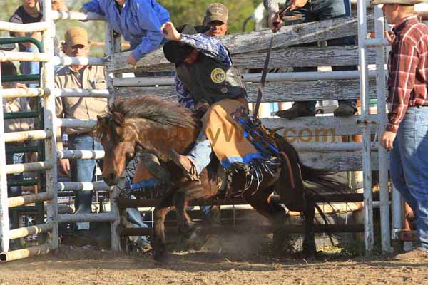 Ranch Pony Bronc Riding, April 10, 2010 - Photo 09