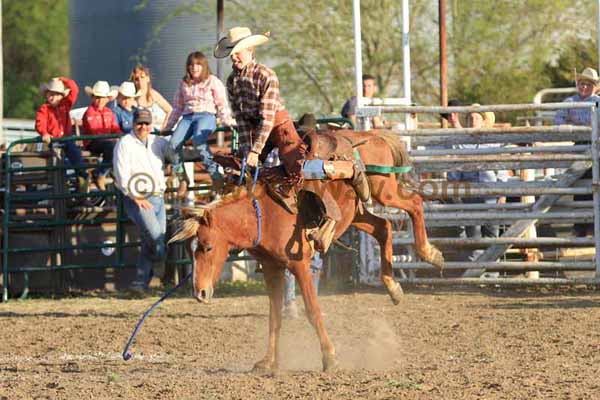 Ranch Pony Bronc Riding, April 10, 2010 - Photo 24