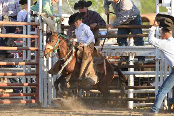 Ranch Pony Bronc Riding, April 10, 2010 - Photo 26