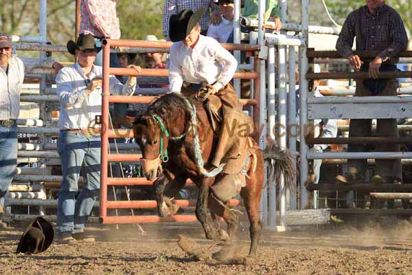 Ranch Pony Bronc Riding, April 10, 2010 - Photo 27