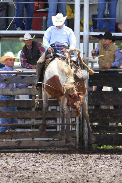 Ranch Bronc Riding, Moline - Photo 01