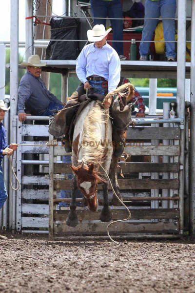 Ranch Bronc Riding, Moline - Photo 02