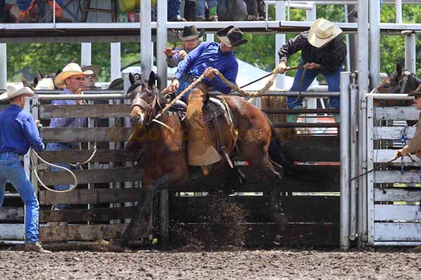 Ranch Bronc Riding, Moline - Photo 04