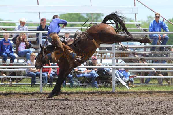 Ranch Bronc Riding, Moline - Photo 07