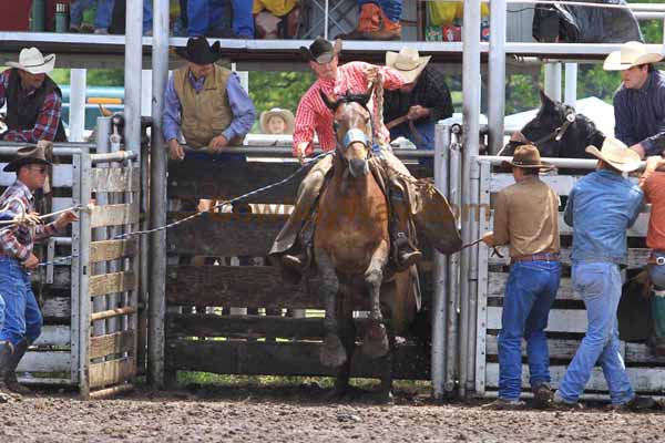 Ranch Bronc Riding, Moline - Photo 08