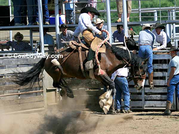 A bucking horse high in the air