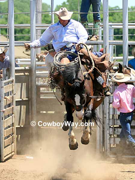 A ranch bronc rider