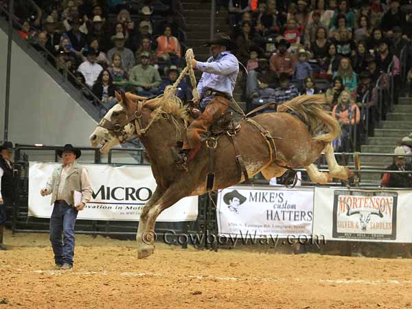 A bald face horse with stockings jumps high into the air