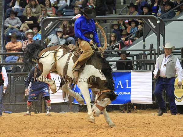 A ranch bronc rider on a black and white Paint