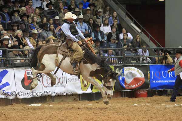 A Paint bronc bucks high into the air