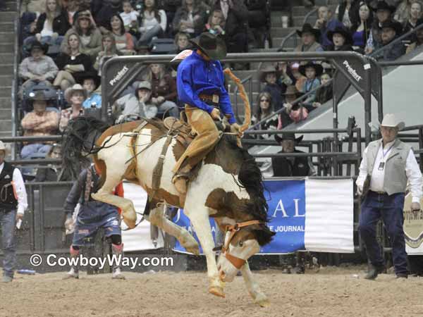 A bright colored paint bronc