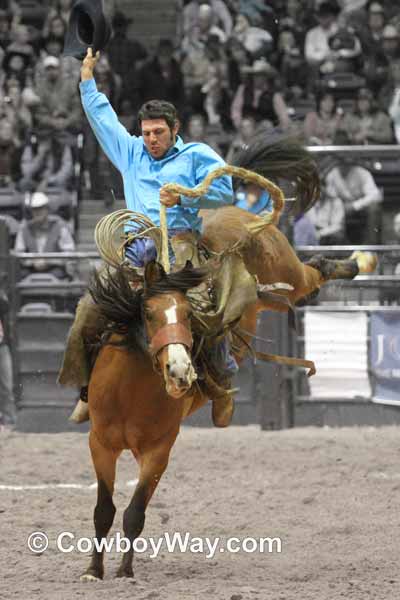 A bay bronc kicks high into the air