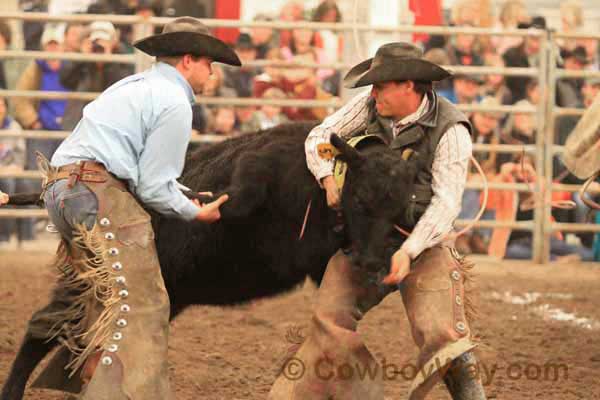 Ranch Rodeo, Equifest of Kansas, 02-11-12 - Photo 05