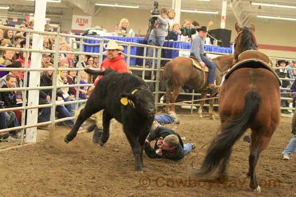 Ranch Rodeo, Equifest of Kansas, 02-11-12 - Photo 13