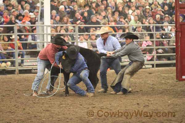 Ranch Rodeo, Equifest of Kansas, 02-11-12 - Photo 40