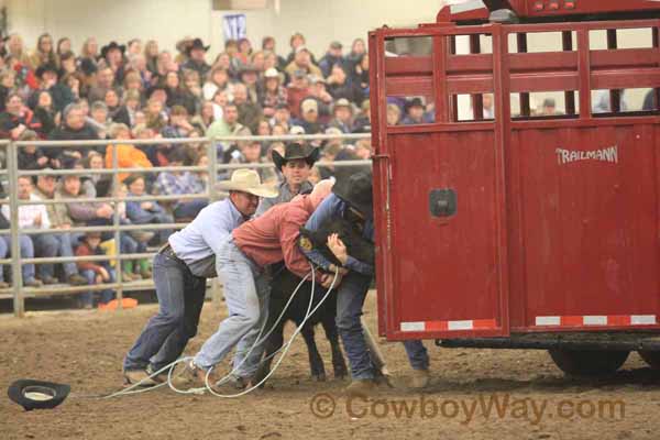 Ranch Rodeo, Equifest of Kansas, 02-11-12 - Photo 41