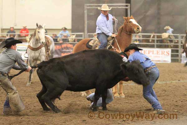 Ranch Rodeo, Equifest of Kansas, 02-11-12 - Photo 43