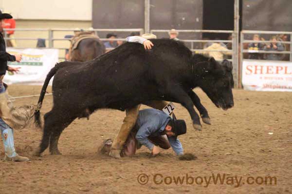 Ranch Rodeo, Equifest of Kansas, 02-11-12 - Photo 48