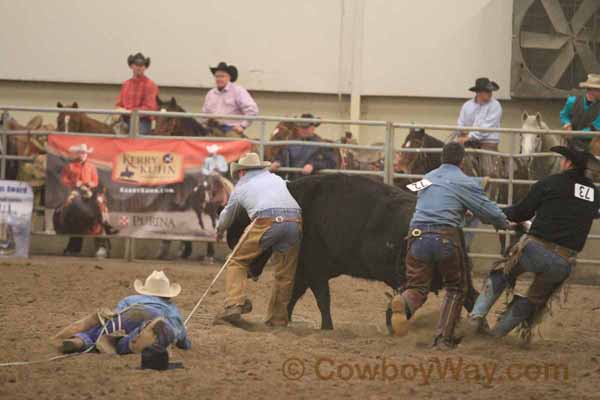 Ranch Rodeo, Equifest of Kansas, 02-11-12 - Photo 49
