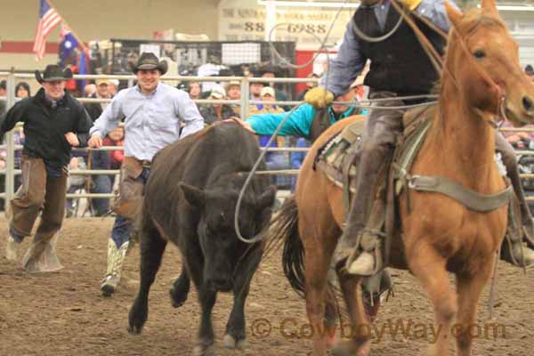 Ranch Rodeo, Equifest of Kansas, 02-11-12 - Photo 50
