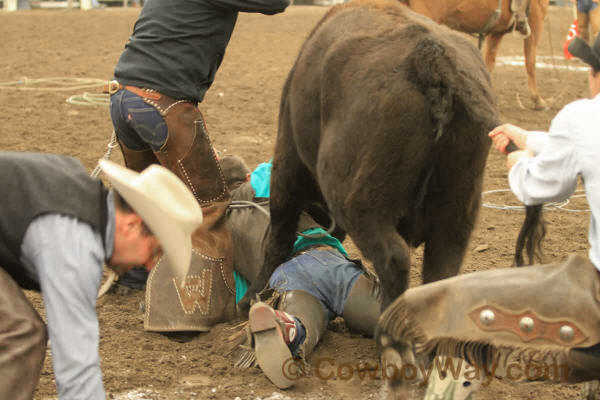 Ranch Rodeo, Equifest of Kansas, 02-11-12 - Photo 53