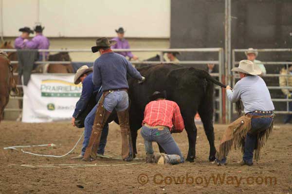 Ranch Rodeo, Equifest of Kansas, 02-11-12 - Photo 61