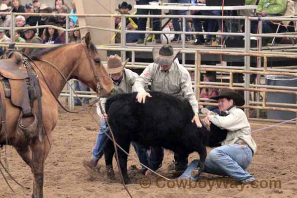 Ranch Rodeo, Equifest of Kansas, 02-12-11 - Photo 08