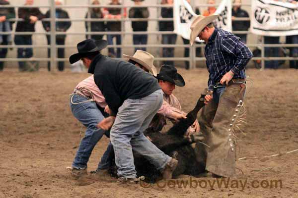 Ranch Rodeo, Equifest of Kansas, 02-12-11 - Photo 20