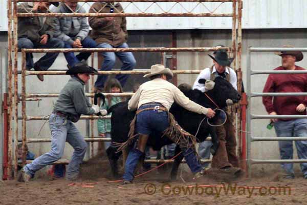 Ranch Rodeo, Equifest of Kansas, 02-12-11 - Photo 22