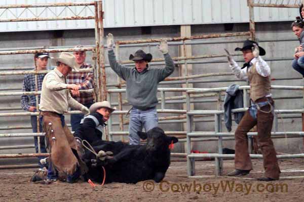 Ranch Rodeo, Equifest of Kansas, 02-12-11 - Photo 23