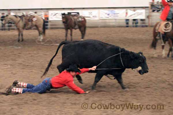 Ranch Rodeo, Equifest of Kansas, 02-12-11 - Photo 30